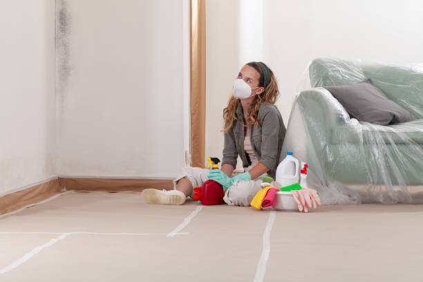 Reliable Attic Mold Removal contractor in Carver, MN by WQB Mold Removal